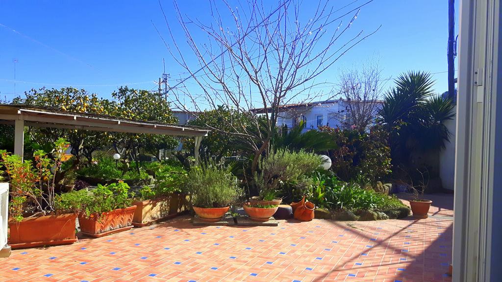 Holiday Apartments Lacco Ameno  Esterno foto