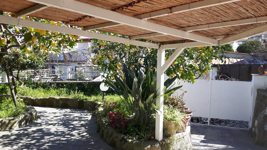 Holiday Apartments Lacco Ameno  Esterno foto